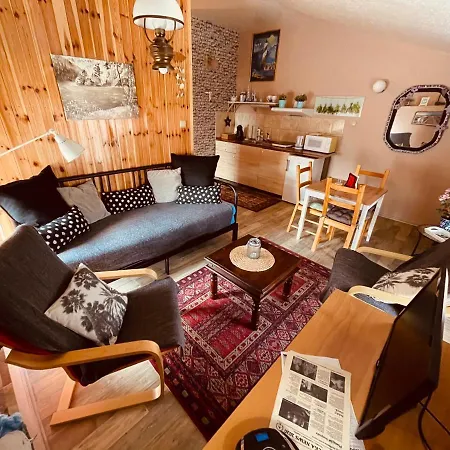 Apartmany U Kaplicky Kamyk nad Vltavou Exterior photo
