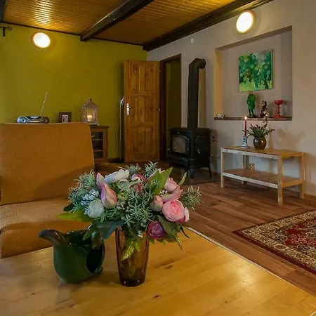 Apartmany U Kaplicky Kamyk nad Vltavou Exterior photo